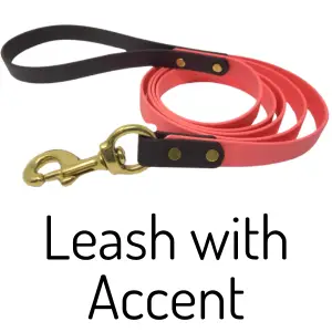 Standard Leash - Image 4