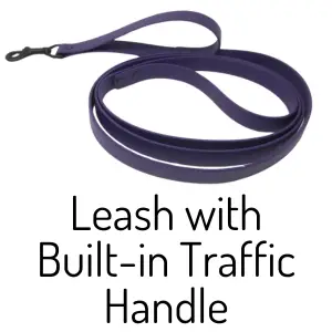 Standard Leash - Image 5